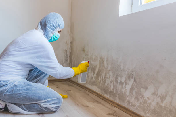 Hvac And Air Duct Mold Remediation inspection of HVAC system in Lincoln Park